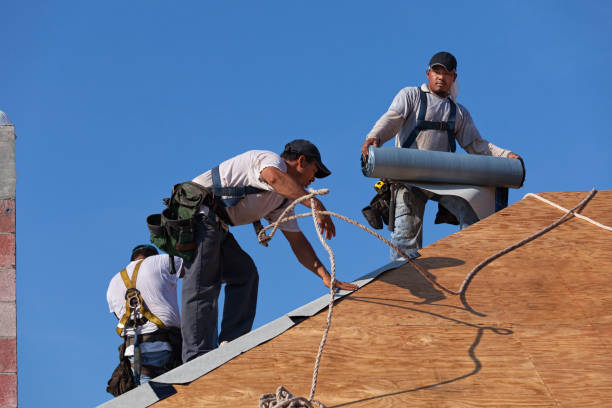 Best New Roof Installation  in Camn, DE